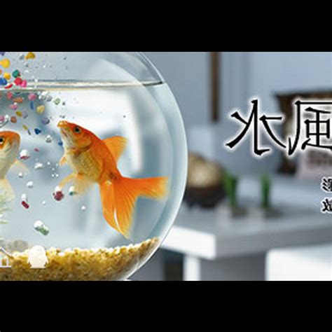 養魚數量垃圾魚|養魚的數目與魚缸的講究